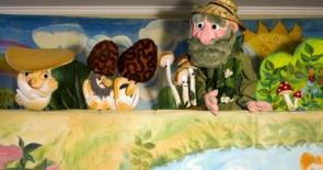 выездной кукольный спектакль "Лесной переполох" для детей в измайлово