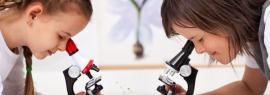 Занимательная микроскопия детям от 6 лет
